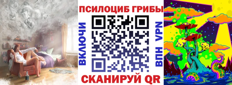 Галлюциногенные грибы GOLDEN TEACHER  Дно 