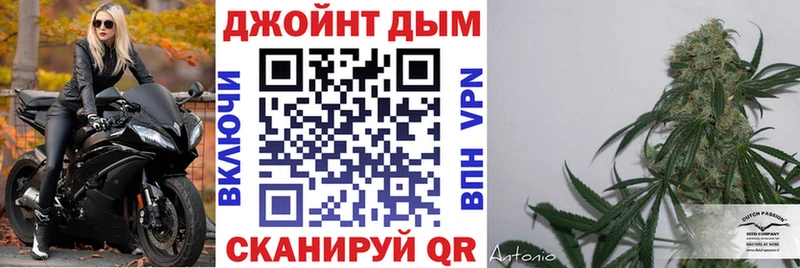 Конопля план  купить наркоту  Дно 